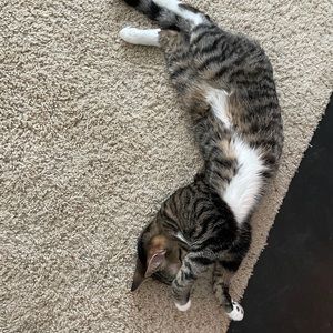 Meet your Posher, Tracy